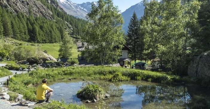 I 70 anni di Paradisia, giardino botanico del Parco nazionale Gran Paradiso