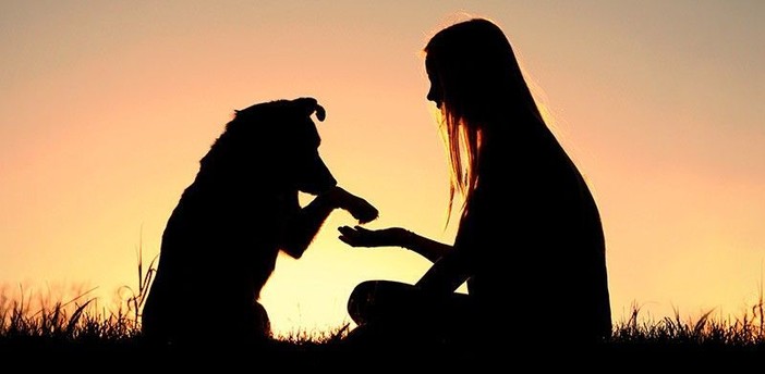 Aosta, torna il corso per i piccoli proprietari di cani
