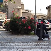 Rilievi della polizia in via Rey dopo l'aggresione Rilievi della polizia in via Rey dopo l'aggresione