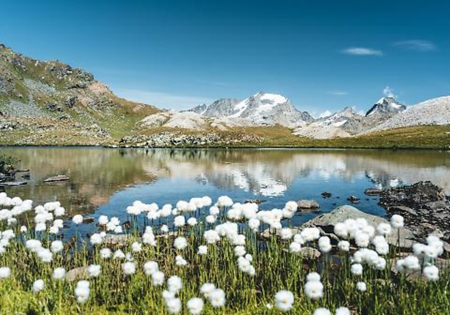 Il nuovo direttivo del Parco nazionale del Gran Paradiso