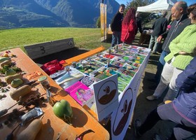 ‘An Pomma pe an Sei’; a Petit-Fénis due giorni tra semi, biodiversità e cultura contadina ‘An Pomma pe an Sei’; a Petit-Fénis due giorni tra semi, biodiversità e cultura contadina