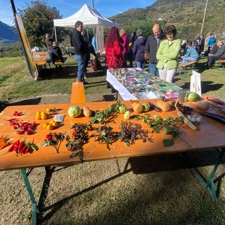 Nus, torna ‘An pomma pe an sei’, settima edizione dello scambio semi e mercato contadino