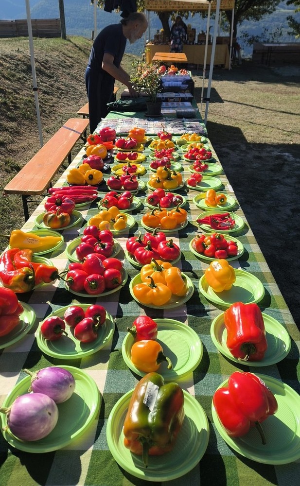 Nus; 'An Pomma pe an Sei' a Petit-Fénis visitatori entusiasti e rilanciata l'agrobio Nus; 'An Pomma pe an Sei' a Petit-Fénis visitatori entusiasti e rilanciata l'agrobio