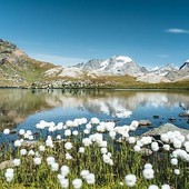Il nuovo direttivo del Parco nazionale del Gran Paradiso Il nuovo direttivo del Parco nazionale del Gran Paradiso