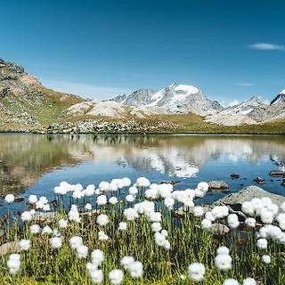 Il nuovo direttivo del Parco nazionale del Gran Paradiso