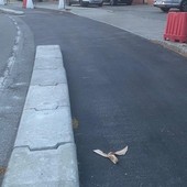 Aosta, proseguono i lavori alla ciclabile ma si tagliano altri tre alberi