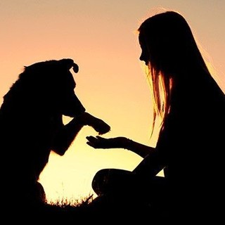 Aosta, torna il corso per i piccoli proprietari di cani