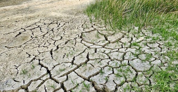 Crisi idrica, in Valle foraggi in calo del 30% e alpeggi verso la desarpa anticipata