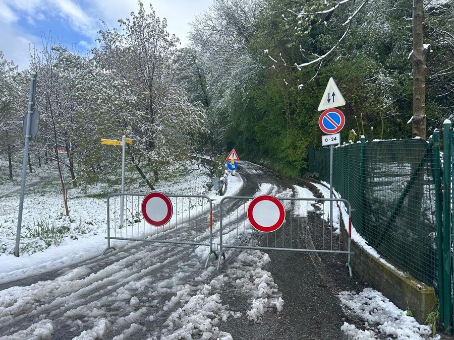 Aosta: pianta cade su linea elettrica, isolata la frazione 'La Comba' Aosta: pianta cade su linea elettrica, isolata la frazione 'La Comba'