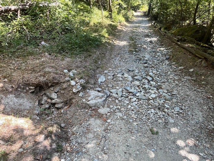 'Non è abbandono ereditato': botta e risposta a Champdepraz sul percorso per carrozzelle 'Non è abbandono ereditato': botta e risposta a Champdepraz sul percorso per carrozzelle