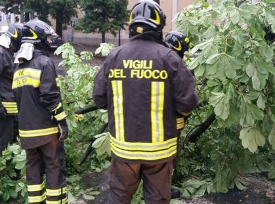 Raffiche di vento su Aosta; alberi caduti, coperture divelte e un'auto danneggiata Raffiche di vento su Aosta; alberi caduti, coperture divelte e un'auto danneggiata
