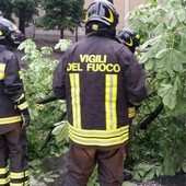 Raffiche di vento su Aosta; alberi caduti, coperture divelte e un'auto danneggiata Raffiche di vento su Aosta; alberi caduti, coperture divelte e un'auto danneggiata