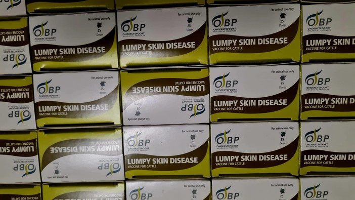 Dermatite bovina, la Regione replica a FdI: 'vaccinazione sola via per evitare abbattimenti' Dermatite bovina, la Regione replica a FdI: 'vaccinazione sola via per evitare abbattimenti'